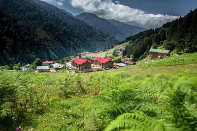 Scenic view of village and houses against sky