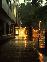 Empty road along buildings
