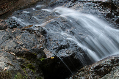 Scenic view of waterfall