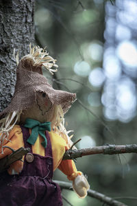 Close-up of statue against trees