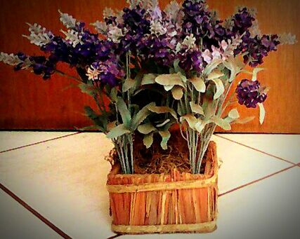 flower, indoors, vase, table, decoration, potted plant, wood - material, plant, wall - building feature, freshness, close-up, still life, fragility, wooden, growth, home interior, stem, flower pot, no people, wall