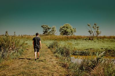 Rear view of man walking on field against clear sky