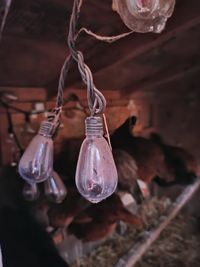 Close-up of illuminated light bulb