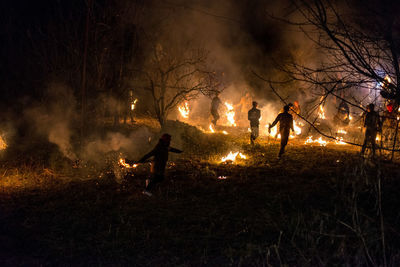 Group of people in forest at night