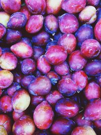 Full frame of red berries