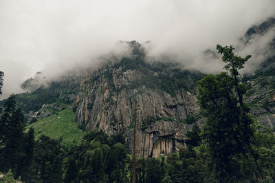 Panoramic view of trees and mountains against sky