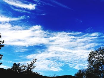 Low angle view of silhouette trees against blue sky