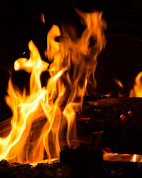 Close-up of bonfire at night