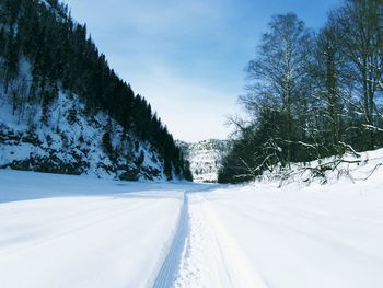 Snow covered road by trees against sky