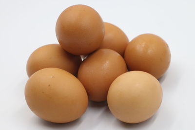 Close-up of eggs against white background