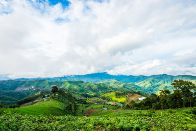 Scenic view of landscape against sky