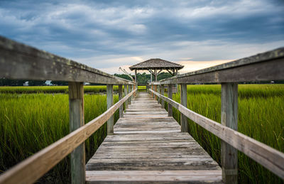 Wooden railing on footpath amidst plants against sky