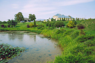 Plants by lake and building against sky