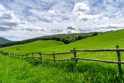 Scenic view of grassy field against sky