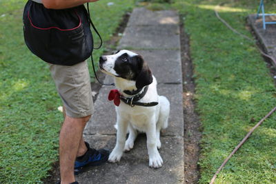 Man with dog standing on grass