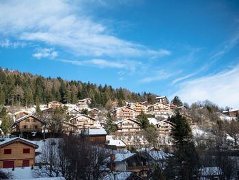 Houses against sky during winter