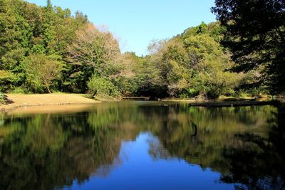 Scenic view of lake by trees against sky