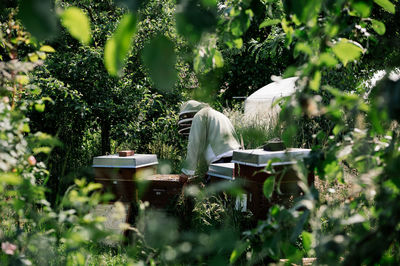 Rear view of woman standing by plants