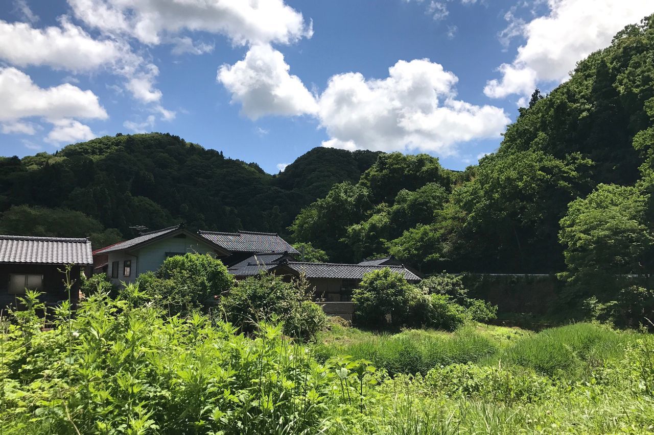 tree, sky, built structure, architecture, day, green color, growth, nature, plant, no people, outdoors, tranquility, cloud - sky, scenics, beauty in nature, tranquil scene, mountain, building exterior