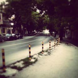Empty footpath along trees