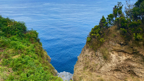 High angle view of trees by sea