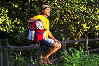 Man sitting on railing against trees