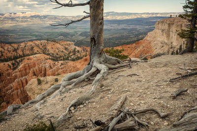 Scenic view of landscape and mountains against sky