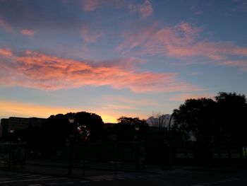 Silhouette trees against sky at sunset