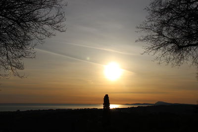 Silhouette tree on shore against sky during sunset