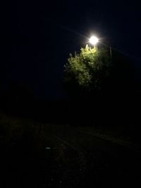 Illuminated tree against sky at night