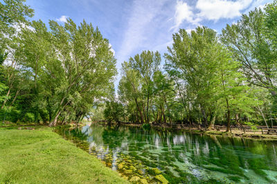 Scenic view of lake amidst trees in forest against sky