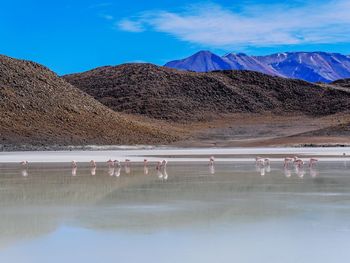 Scenic view of lake by mountains against sky