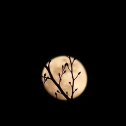 Close-up of light bulb over black background