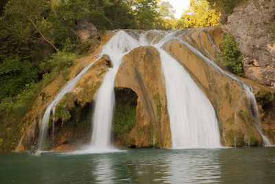 Scenic view of waterfall in forest