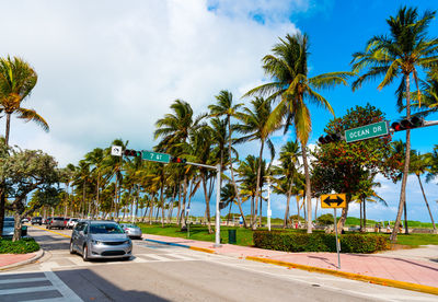 Cars on road by palm trees against sky