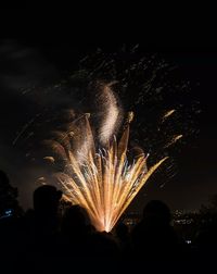 Firework display at night