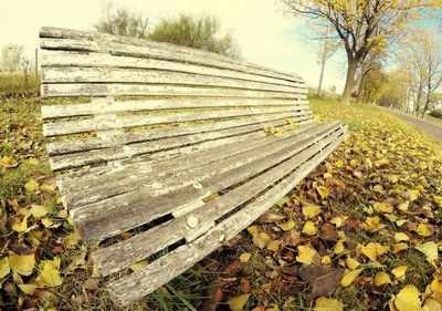 Surface level of railroad track