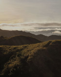 Scenic view of landscape against sky