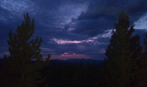 Silhouette trees against dramatic sky at sunset