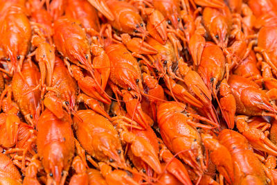 Full frame shot of orange for sale in market