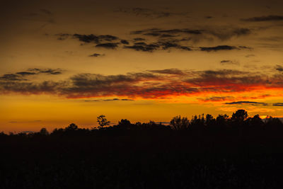 Silhouette trees against sky during sunset