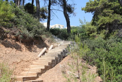 Staircase amidst trees in forest against sky