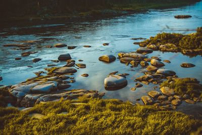 Scenic view of rocks in lake