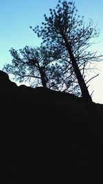 Low angle view of silhouette tree against clear sky