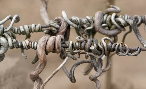 Close-up of rusty chain