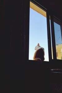 Close-up of cat looking through window