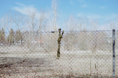 View of chainlink fence against sky