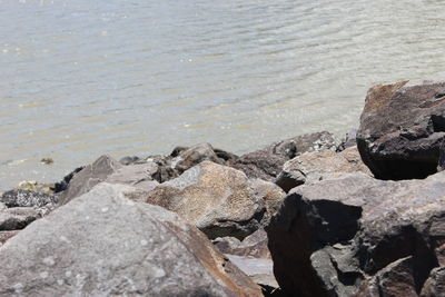 High angle view of rocks on beach