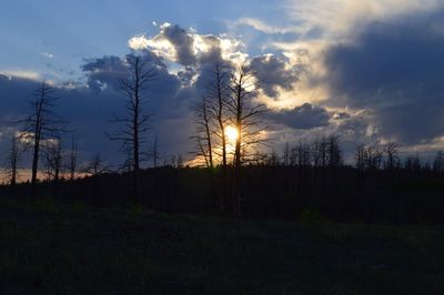 Scenic view of forest against sky at sunset