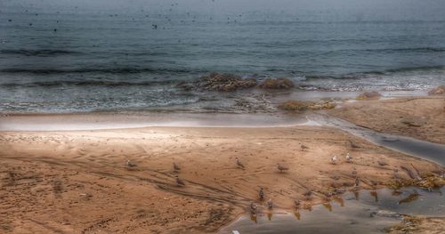 Scenic view of beach